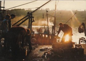 Scotland Isle Of Lewis Fishermen Landing Catch At Stornoway Harbor