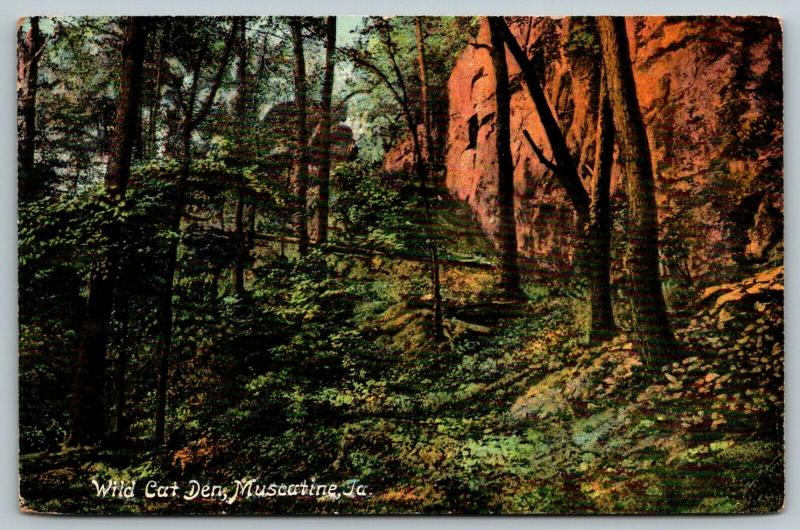 Muscatine Iowa~Wild Cat Den~View Up Bluffs~1909 Postcard 