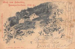 Schneeberg Austria Baumgartnerhaus Gruss aus Antique Postcard J59663