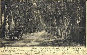 Lovers' Lane in Roswell, New Mexico