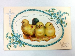 Vintage Postcard A Joyful Easter Embossed Cross, Young Birds and Floral Flower