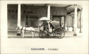 Panama - Carameta Horse Drawn Taxi? Real Photo Postcard