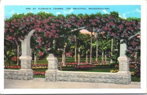 USA Florida Charms Bougainvillea Vintage Postcard 05.25