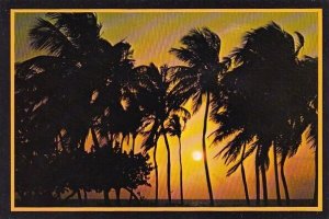 A Magnificent Florida Sunrise Miami Florida