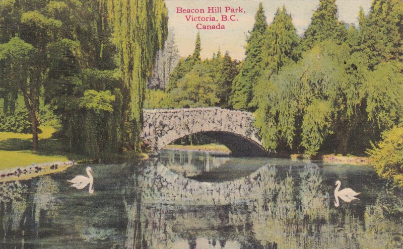 VICTORIA, British Columbia, Canada, PU-1951; Beacon Hill Park