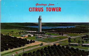 Florida Greetings From The Citrus Tower Panoramic View