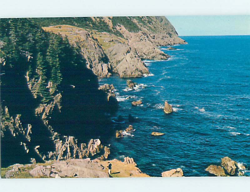 Pre-1980 NATURE SCENE St. John'S Newfoundland NL AD2668