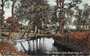 View on Rancocas Creek in Mt Holly, New Jersey