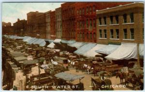 CHICAGO, Illinois  IL   SOUTH WATER STREET Scene  Busy Crowd ca 1910s   Postcard