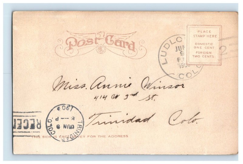 1900-06 Birds Eye View Trinidad, Co Postcard F150E