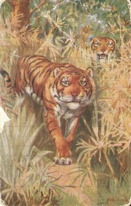 B. Butler. Bengal Tiger Tuck Oilette Wild Animals Series PC # 3001