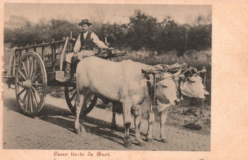 Vintage Postcard Carro Tiesto Da Buoi Carriage Transportation