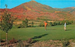 Golf Course Wasatch Mountain State Park Midway Utah 1950s Postcard 3506