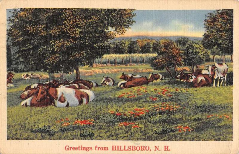 Hillsboro New Hampshire Cow Pasture Greeting Antique Postcard K97173