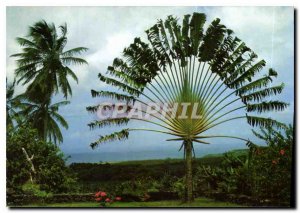 Modern Postcard Martinique Basse Pointe Plantation Leyritz good neighbors coc...