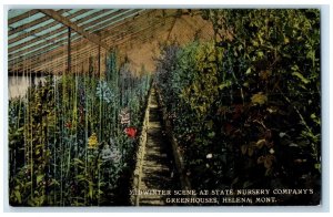 c1910s Midwinter Scene At State Nursery Company's Greenhouses Helena MT Postcard