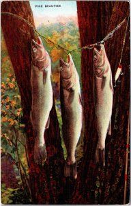 Postcard fishing pike beauties three caught hung between trees