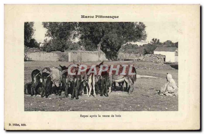 Postcard Old Donkey Mule Morocco Rest after the coming of wood