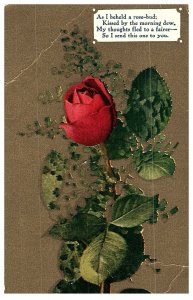 Love Romance Rosebud Kissed by Morning Dew Antique Postcard Series 68