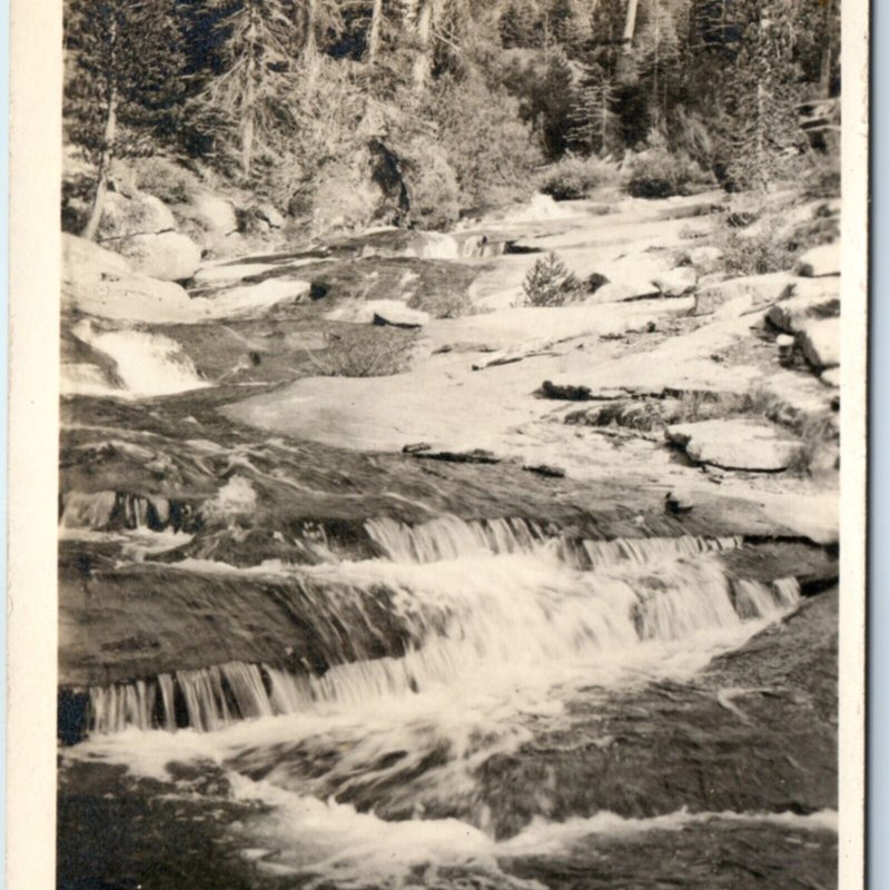 c1910s Wolverton Creek RPPC Sequoia National Park, Sierra Nevada CA Photo A132