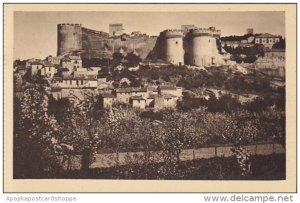 France Avignon Le fort Saint-Andre