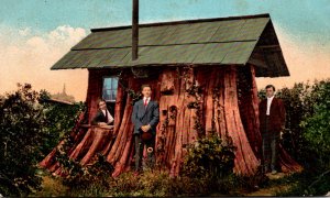 Washington Snohomish Cabin In Cedar Stump