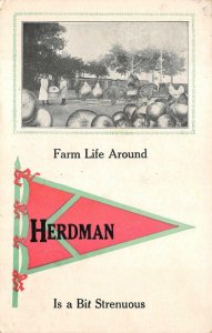 HERDMAN OHIO FARM LIFE EXAGGERATION POULTRY FOOD CANADA POSTCARD 1905