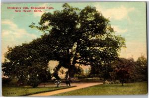Children's Oak, Edgewood Park New Haven CT Vintage Postcard Q11