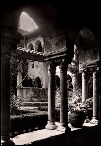 Cloitre de la Cathedrale,Frejus,France BIN