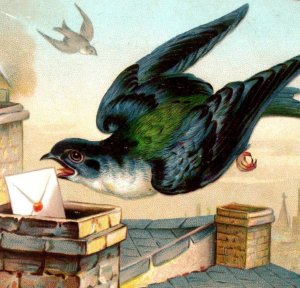 1880s-90s French Colorful Wild Birds Letters Ribbons Lot Of 4 #7R