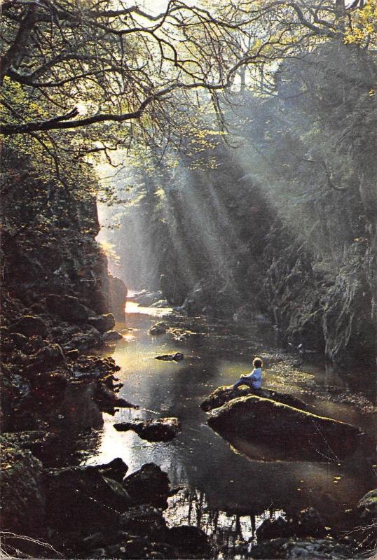 BR82545 the fairy glen betws y coed   wales