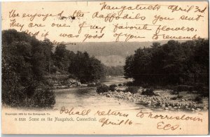 Scene on the Naugatuck, CT c1906 Undivided Back Vintage Postcard A78