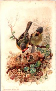 Birds Advertising Card Manufacture De Chaussures A Vis C005