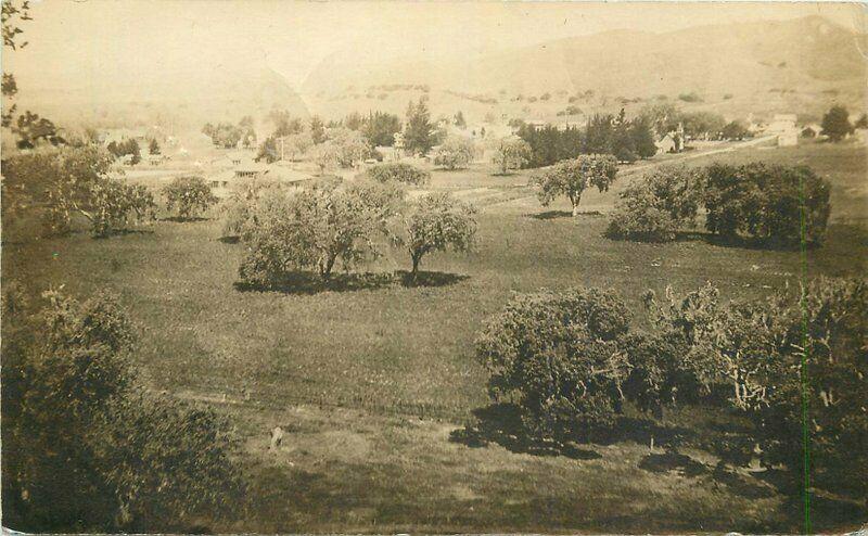 Foothills View Lodi California 1911 RPPC Photo Postcard 3376