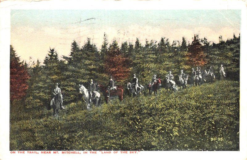 NORTH CAROLINA~HORSES ON TRAIL NEAR MT MITCHELL-LAND OF THE SKY~1916 POSTCARD