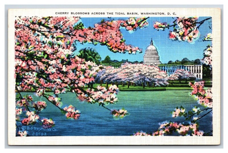 Capitol Building Through Cherry Blossoms Washington DC UNP Linen Postcard Y11