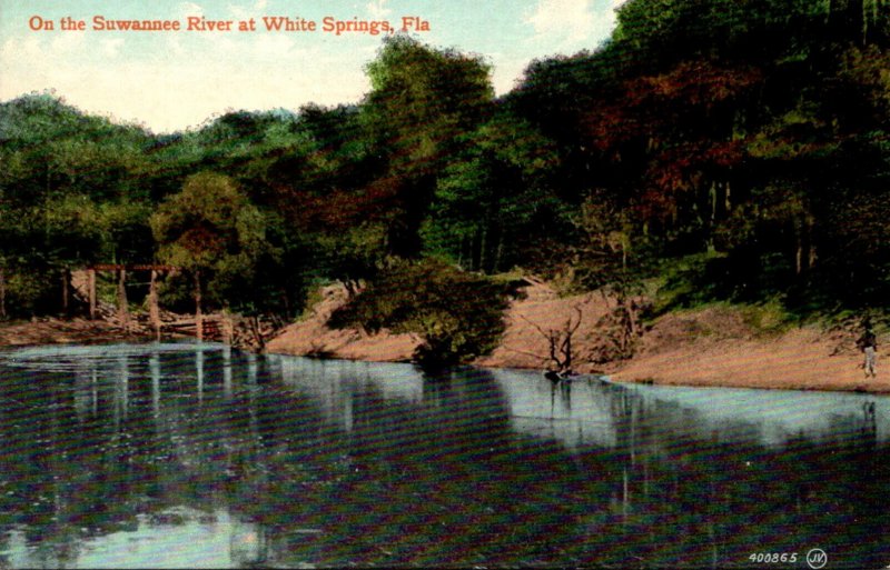 Florida White Springs Scene On The Suwannee River