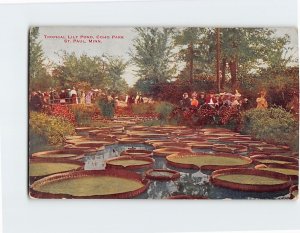 Postcard Tropical Lily Pond Como Park St. Paul Minnesota USA