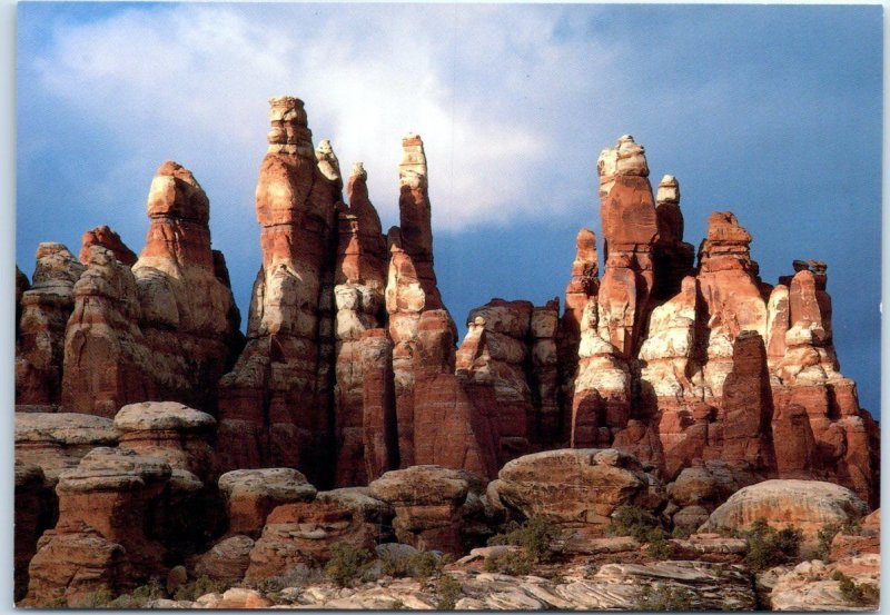 Needles and spires, Needles District, Canyonlands National Park - Utah