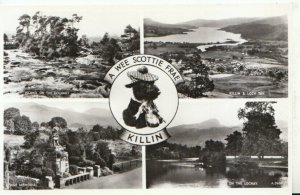 Scotland Postcard - A Wee Scottie Frae - Killin, Stirlingshire - RP - Ref TZ1899