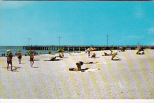 Florida Clearwater Beach Scene With City Pier