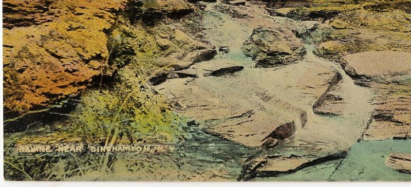 1907-15 Binghamton NY Ravine Near Broome Co. New York RARE Antique DB Postcard