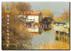 Postcard Modern Marignane (Bouches du Rhone) fisherman's hut Esteau the neigh...