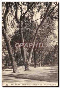 Old Postcard Tree in Vichy new parks Poplars Giants