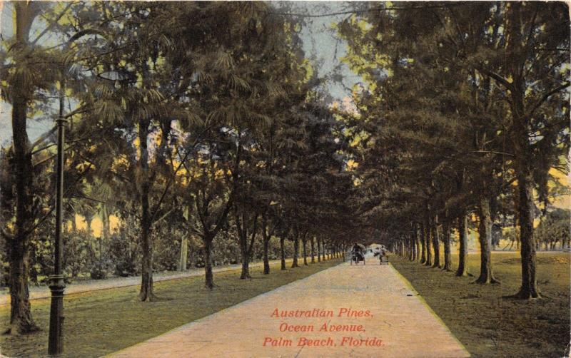 PALM BEACH FL~AUSTRALIAN PINES OCEAN AVE~COCHRANE'S PALATKA PUBL POSTCARD 1910s