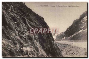 Old Postcard Chamonix Passage Not Bad and Aiguille du Geant