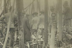 Baudette MINNESOTA RPPC 1910 DEAD BODY Search Party FOREST FIRE nr Spooner