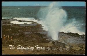 The Spouting Horn