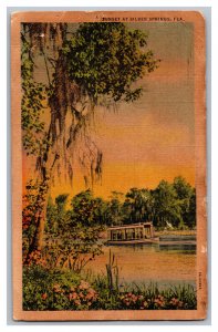 Sunset At Silver Springs FLA. Florida Postcard