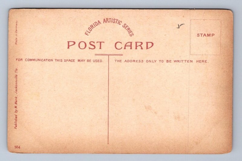 THE LARGEST LIVE OAK TREE JACKSONVILLE FLORIDA POSTCARD (c.1910)